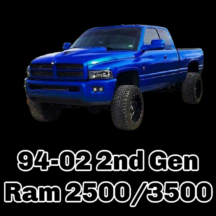 2ND GEN RAM 1994 visual data 2