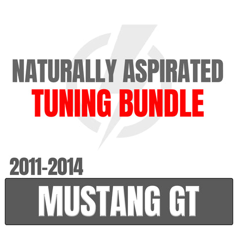 Palm Beach Dyno Naturally Aspirated Tuning Package for 2011 - 2014 Mustang GT