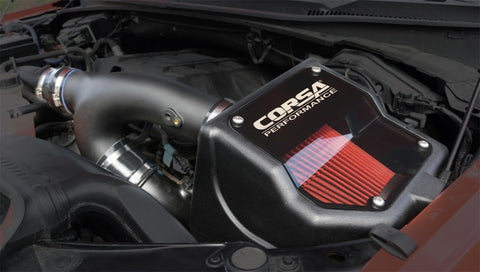 Corsa 15-19 Ford F150 2.7L & 15-16 3.5L Ecoboost V6, DryTech 3D Closed Box Air Intake