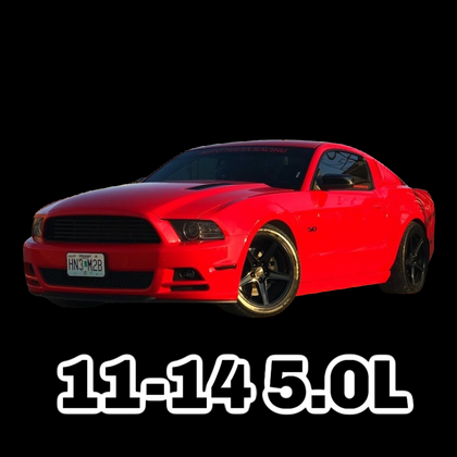 2011-2014 5.0 V8 Mustang Coyote