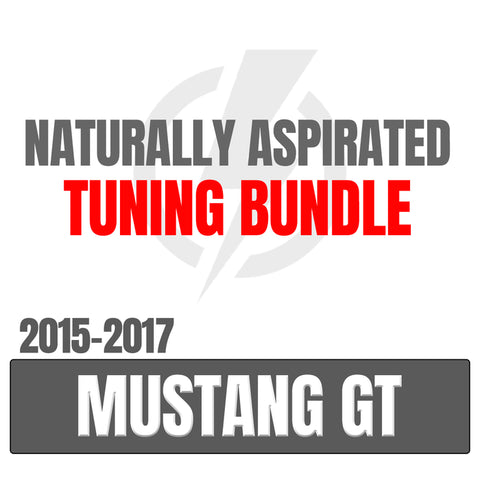 Palm Beach Dyno Naturally Aspirated Tuning Package for 2015 - 2017 Mustang GT