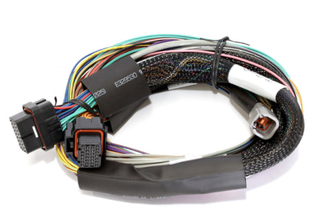 Haltech Elite 2000 8ft Basic Universal Wire-In Harness (Excl Relays or Fuses)