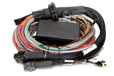 Haltech Elite 1000 8ft Premium Universal Wire-In Harness