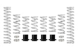 Eibach Pro-UTV 17-19 Polaris RZR XP1000 2-Seat EPS Stage 3 Performance Springs