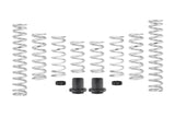 Eibach Pro-UTV 14-16 Polaris RZR XP 4 1000 EPS Stage 2 Performance Springs