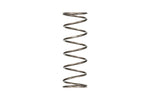 Eibach ERS 12.00 in. Length x 5.00 in. OD Platinum Rear Spring