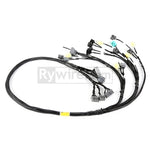 Rywire Honda B/D-Series OBD2 Tucked Budget Engine Harness