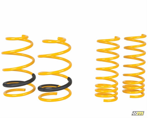 mountune Sport Spring Set 2013 Focus ST