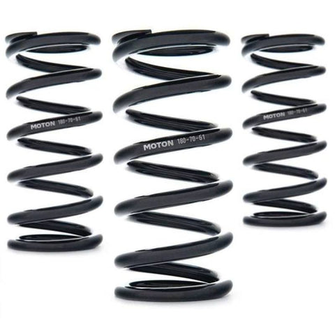AST Linear Race Springs - 80mm Length x 160 N/mm Rate x 61mm ID - Set of 2