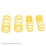 ST Muscle Car Springs 67-72 Chevy Malibu/El Camino/Monte Carlo