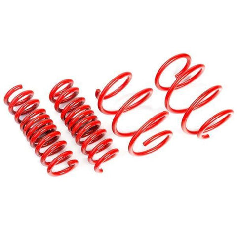 AST Suspension Lowering Springs - TESLA MODEL 3 SR RWD/SR PLUS RWD/MID RANGE RWD