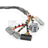 Rywire Honda B/D-Series Mil-Spec Engine Harness (OBD2)