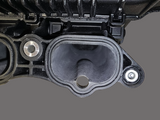 Ported Gen3 Coyote Mustang Intake Manifold For F150s