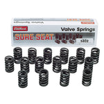 VALVE SPRINGS