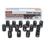 VALVE SPRINGS