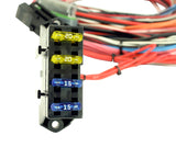 AEM EMS-4 96in Flying Lead Harness w/Fuse & Relay Panel