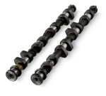 FORD ZETEC PERFORMANCE CAM SET - 224/232 Degrees duration @ 1mm cam lift, 9.9mm/9.9mm lift