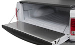 Access Tailgate Protector 15-17 Ford F150