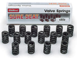 VALVE SPRINGS