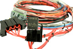 AEM EMS-4 96in Flying Lead Harness w/Fuse & Relay Panel