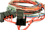 AEM EMS-4 96in Flying Lead Harness w/Fuse & Relay Panel