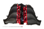 AMS Performance 2009+ Nissan GT-R Alpha Carbon Fiber/Billet Intake Manifold w/Std Fuel Rail - Red