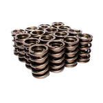 VALVE SPRINGS