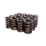 VALVE SPRINGS
