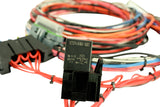 AEM EMS-4 96in Flying Lead Harness w/Fuse & Relay Panel