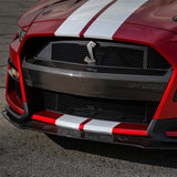 Ford Racing 20-21 Mustang GT500 Carbon Fiber Bumper Insert