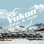Yukon Gear Replacement Chrome Cover For Dana 30 Standard Rotation