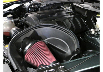 Roush Performance Cold Air Intake Kit (2015-2017 Mustang EcoBoost)