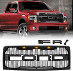 Raptor Style Grill 09-14 F150 with LEDs